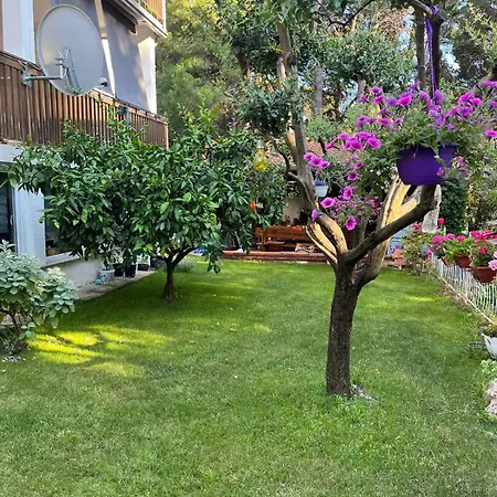 In - Istrien 26834 Pola