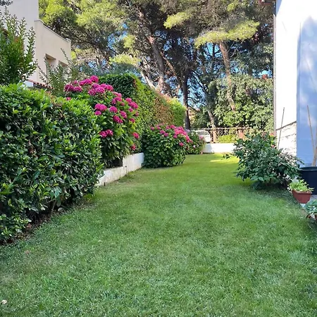 In - Istrien 26834 * Pola