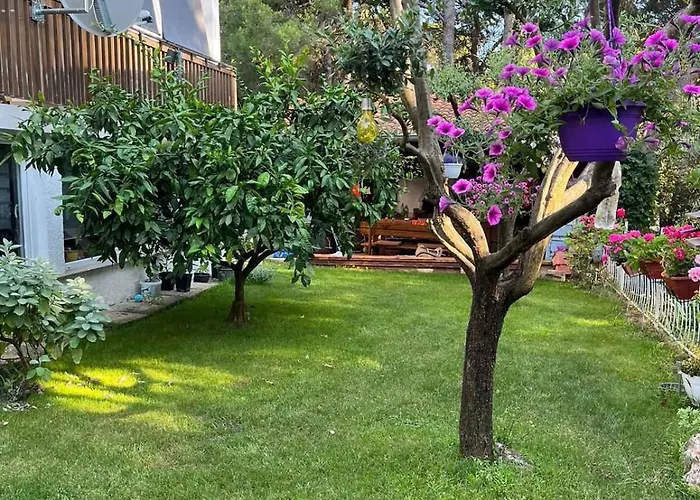 In - Istrien 26834 Pula